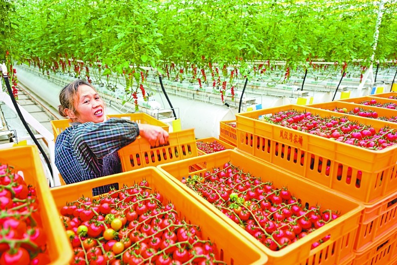 科技赋能产业　融合拓展路径　和美重塑乡村