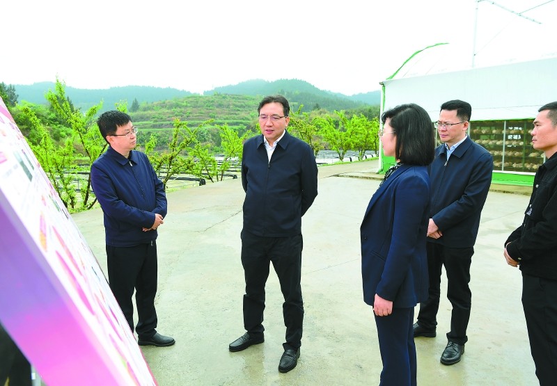 张冬云在仪陇县调研督导时强调：强化责任担当　紧盯重点攻坚　扎实推动各项部署见行见效