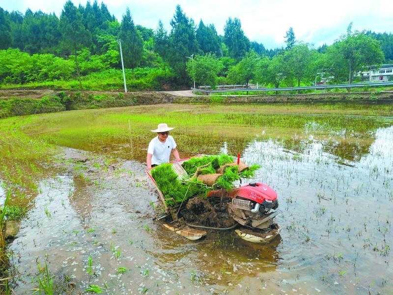 ８３名驻村干部活跃在农忙一线
