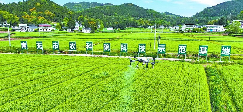 市农科院：以科创引擎赋能农业农村现代化